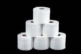 Toilet Roll 2 Ply 96 Rolls 