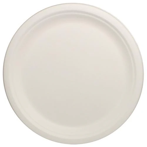 10" Bagasse White Plates Heavy Duty (500 pcs)